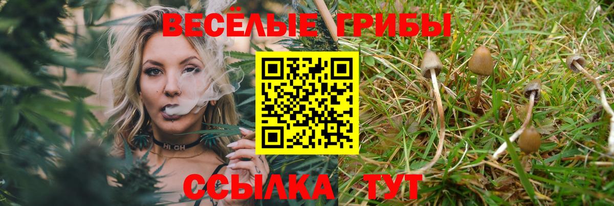 Галлюциногенные грибы мухоморы Большой Камень