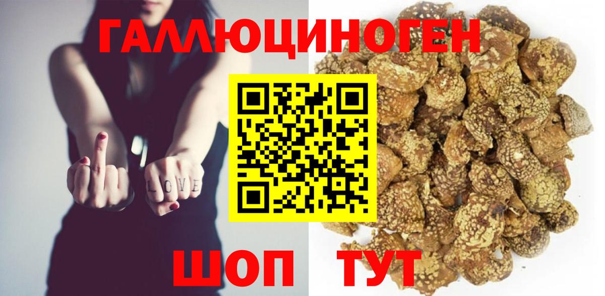 Большой Камень  Галлюциногенные грибы мухоморы  Вход с VPN 